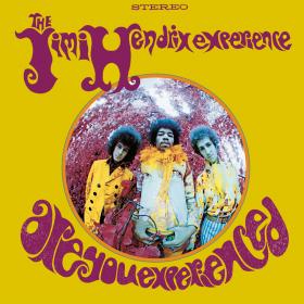 Jimi Hendrix - ARE YOU EXPERIENCED - cover